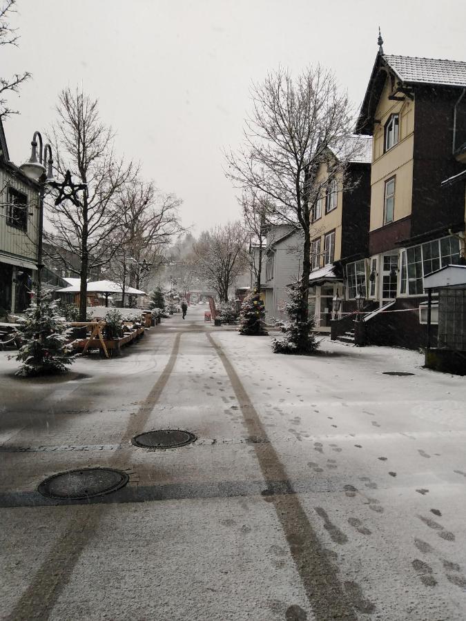 Ferienwohnung Pirkl Goslar Zewnętrze zdjęcie