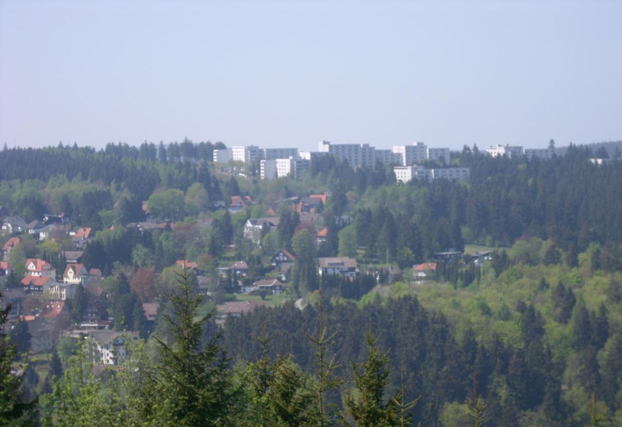 Ferienwohnung Pirkl Goslar Zewnętrze zdjęcie